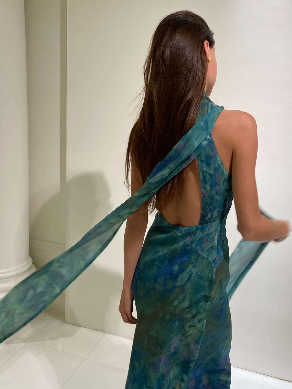 Monet maxi Dress - Irises 5