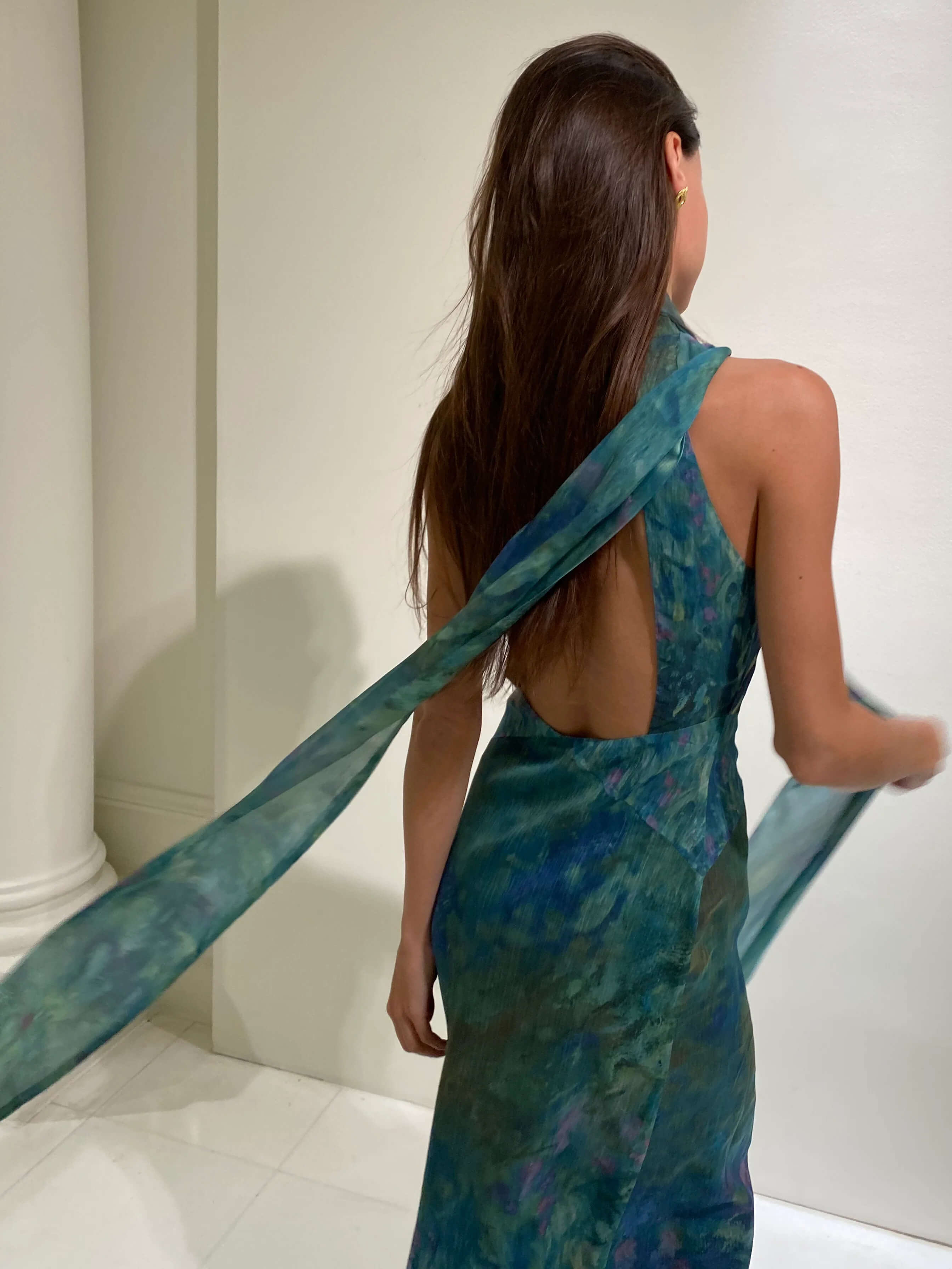 Monet maxi Dress - Irises 5